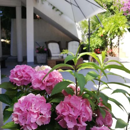 Apartments Poretti For 2,In Center Parking Free In The Yard,6 Min Beach Walk روفينج المظهر الخارجي الصورة