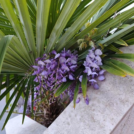 Apartments Poretti For 2,In Center Parking Free In The Yard,6 Min Beach Walk روفينج المظهر الخارجي الصورة