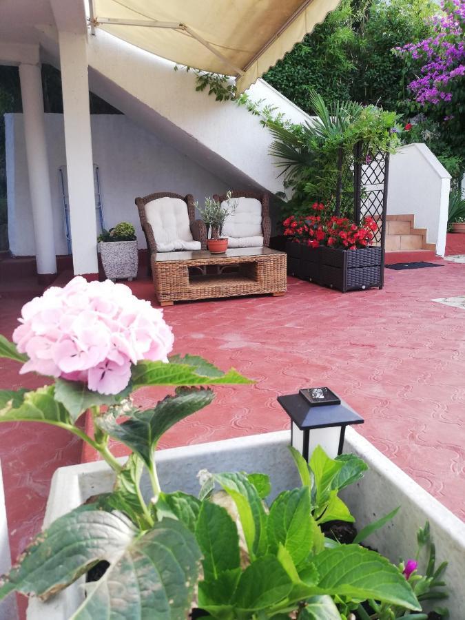 Apartments Poretti For 2,In Center Parking Free In The Yard,6 Min Beach Walk روفينج المظهر الخارجي الصورة