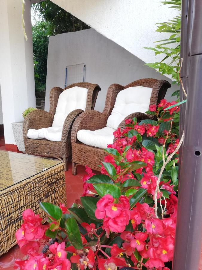 Apartments Poretti For 2,In Center Parking Free In The Yard,6 Min Beach Walk روفينج المظهر الخارجي الصورة