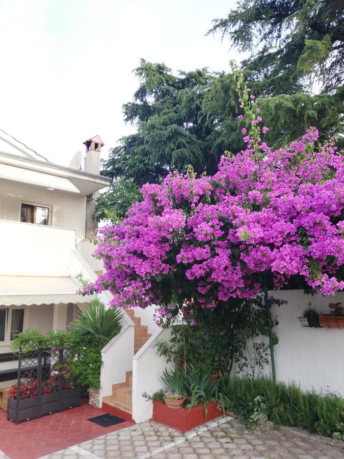 Apartments Poretti For 2,In Center Parking Free In The Yard,6 Min Beach Walk روفينج المظهر الخارجي الصورة