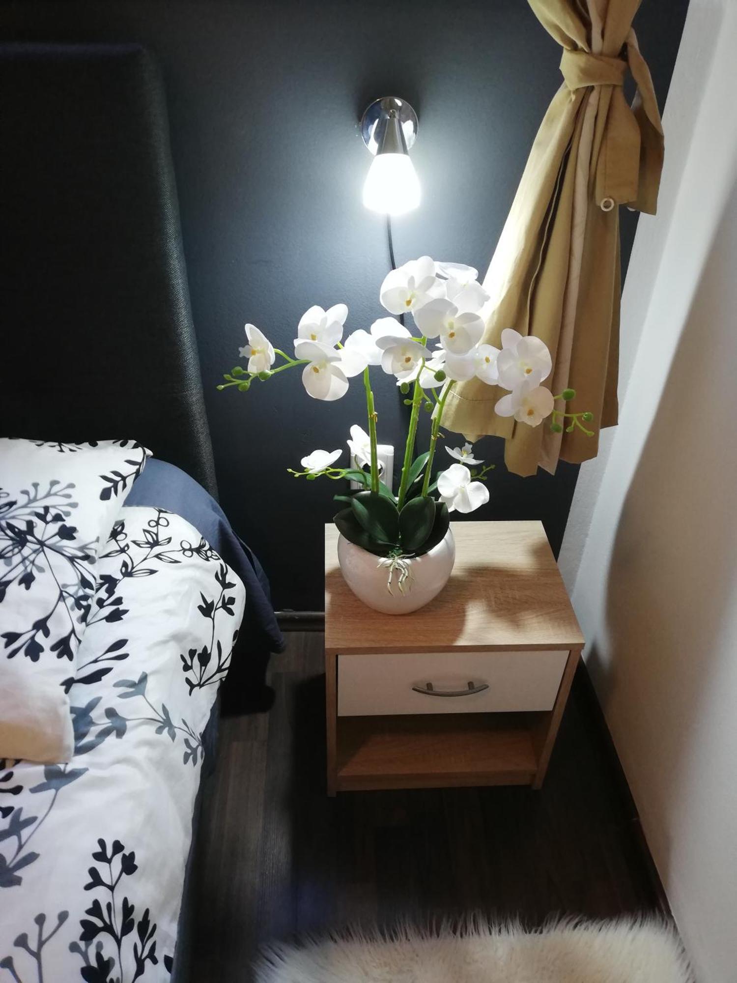 Apartments Poretti For 2,In Center Parking Free In The Yard,6 Min Beach Walk روفينج المظهر الخارجي الصورة