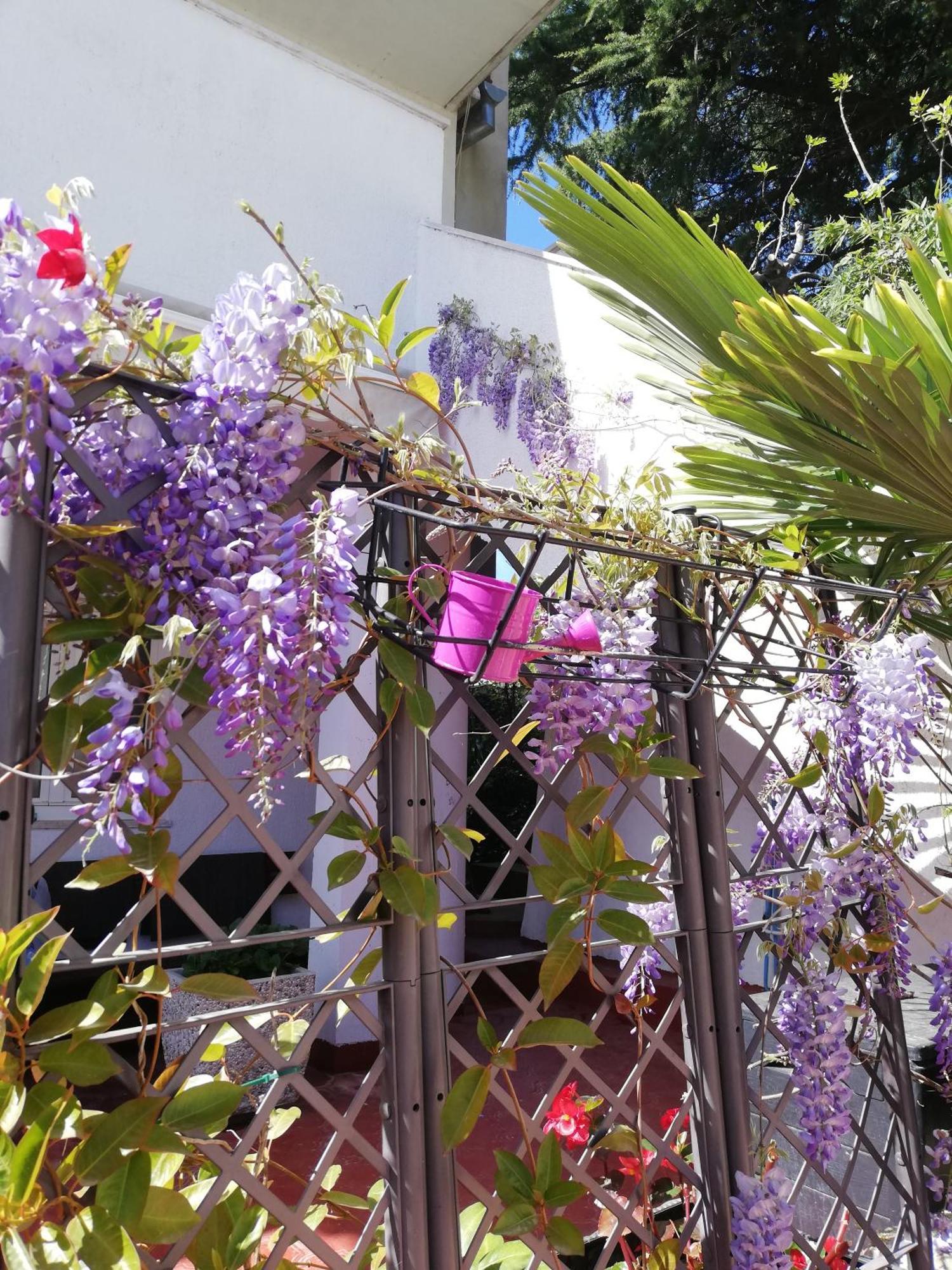 Apartments Poretti For 2,In Center Parking Free In The Yard,6 Min Beach Walk روفينج المظهر الخارجي الصورة
