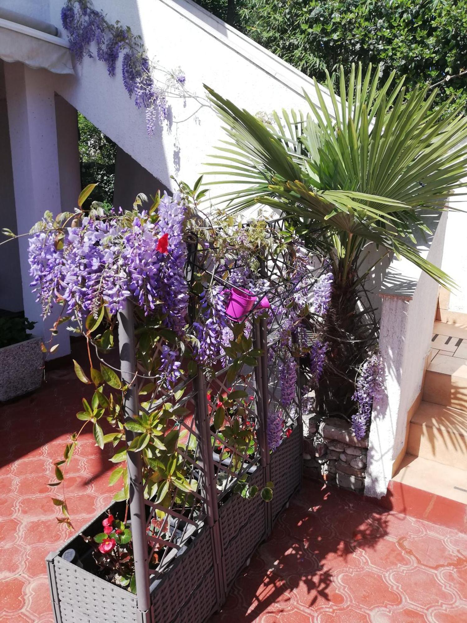 Apartments Poretti For 2,In Center Parking Free In The Yard,6 Min Beach Walk روفينج المظهر الخارجي الصورة