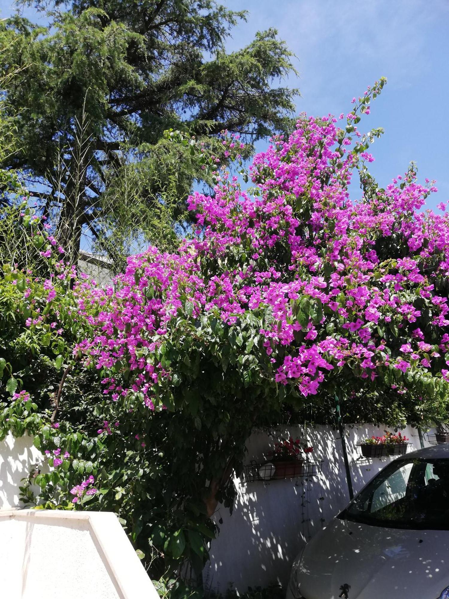 Apartments Poretti For 2,In Center Parking Free In The Yard,6 Min Beach Walk روفينج المظهر الخارجي الصورة