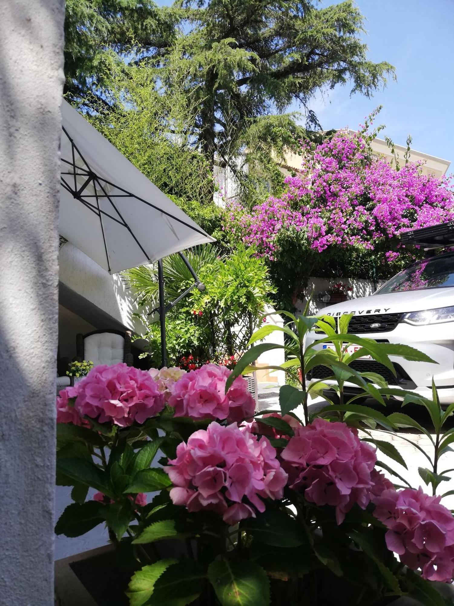 Apartments Poretti For 2,In Center Parking Free In The Yard,6 Min Beach Walk روفينج المظهر الخارجي الصورة