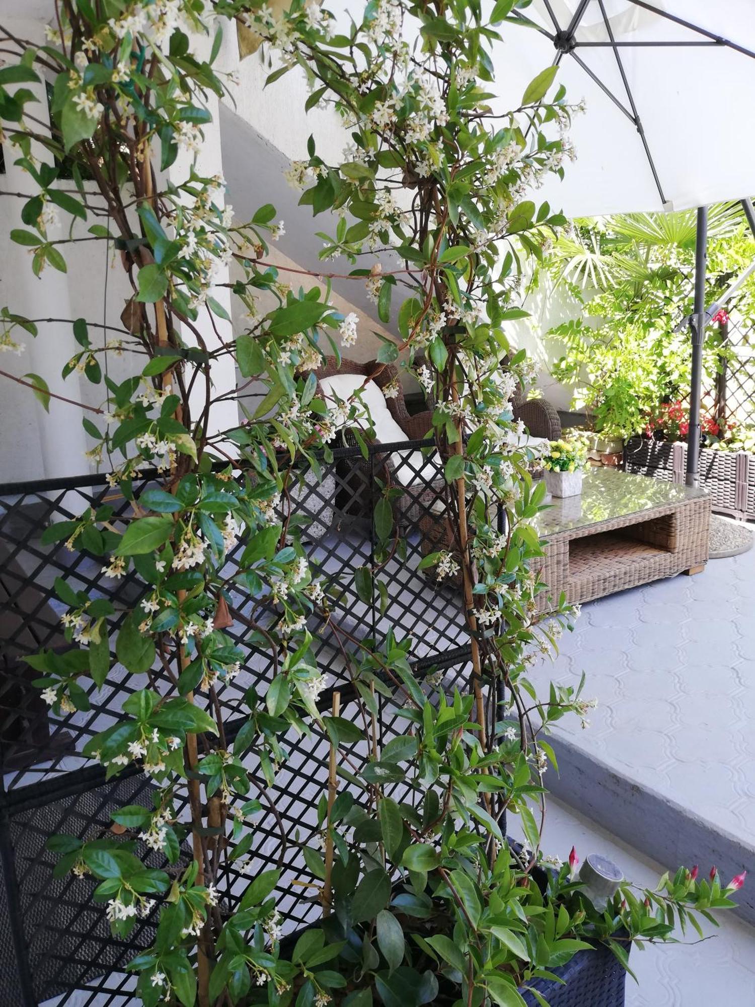 Apartments Poretti For 2,In Center Parking Free In The Yard,6 Min Beach Walk روفينج الغرفة الصورة