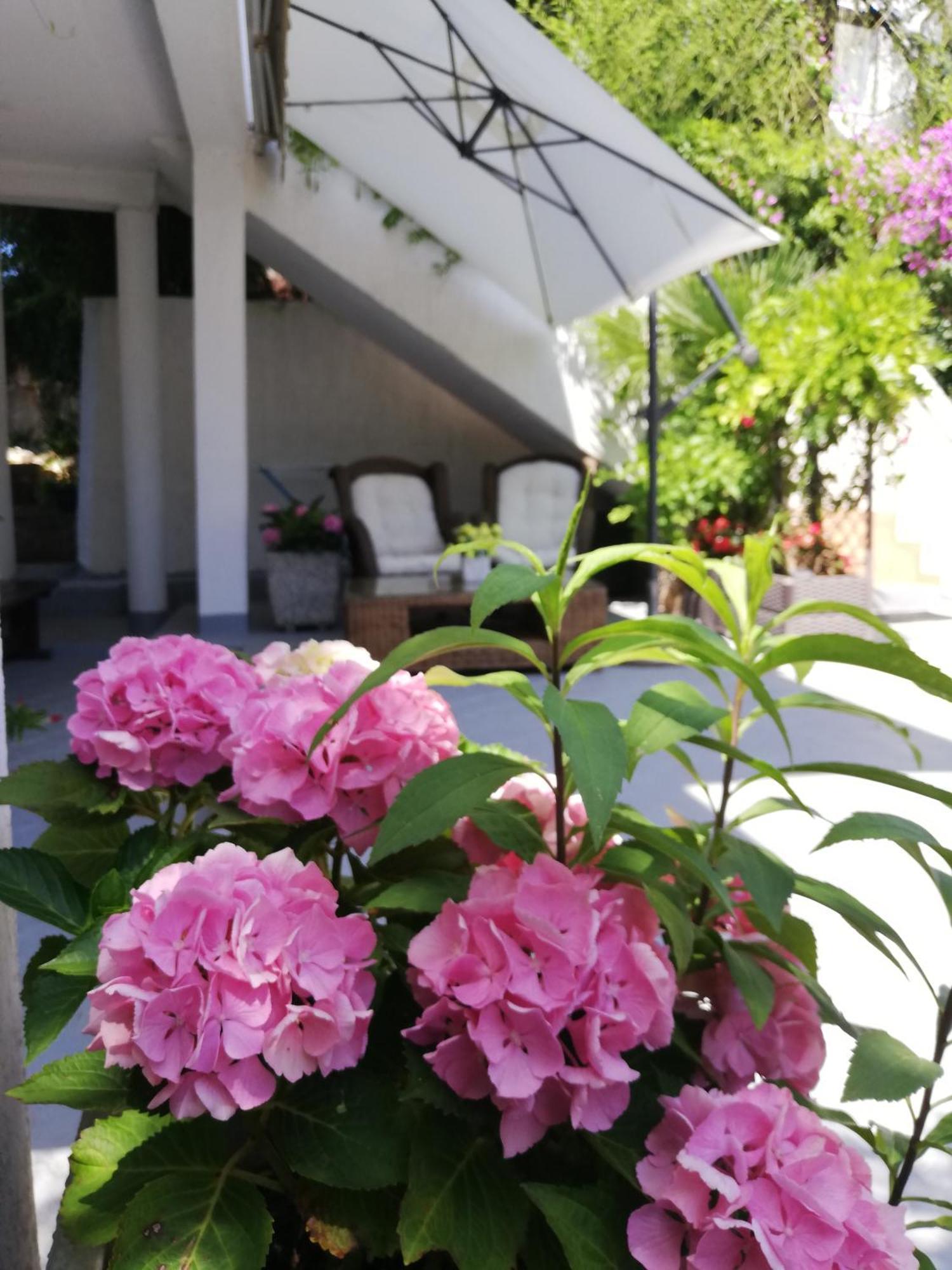 Apartments Poretti For 2,In Center Parking Free In The Yard,6 Min Beach Walk روفينج المظهر الخارجي الصورة
