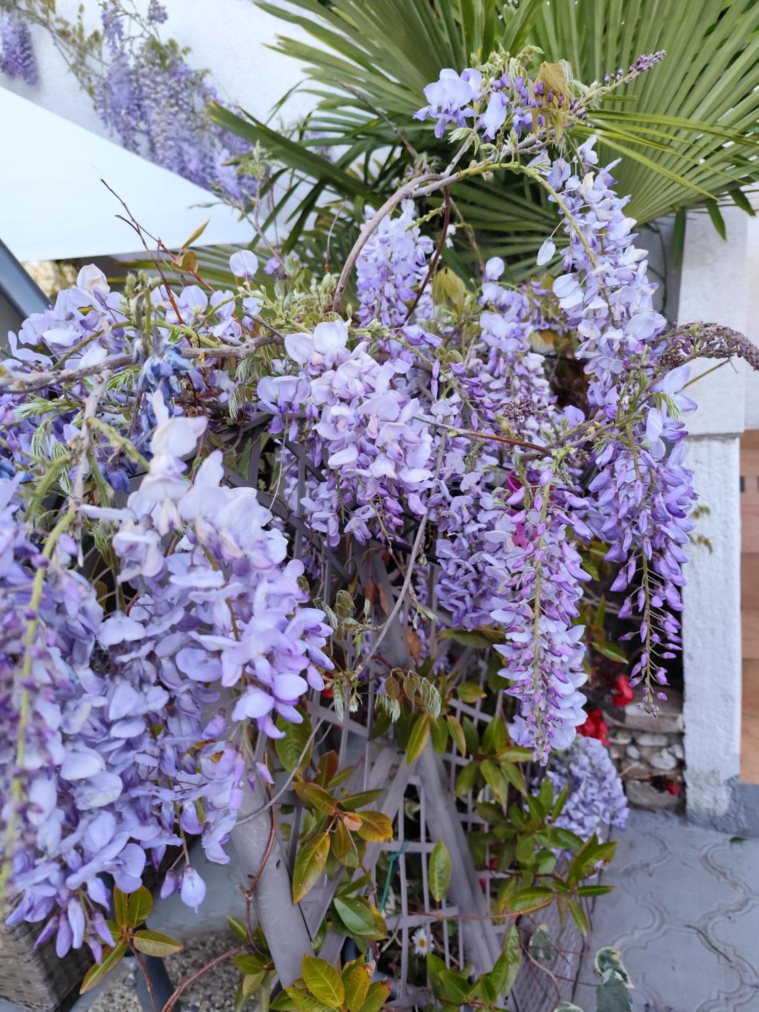 Apartments Poretti For 2,In Center Parking Free In The Yard,6 Min Beach Walk روفينج المظهر الخارجي الصورة